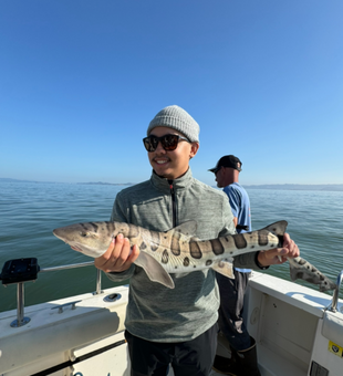 What a catch! Leopard Shark!